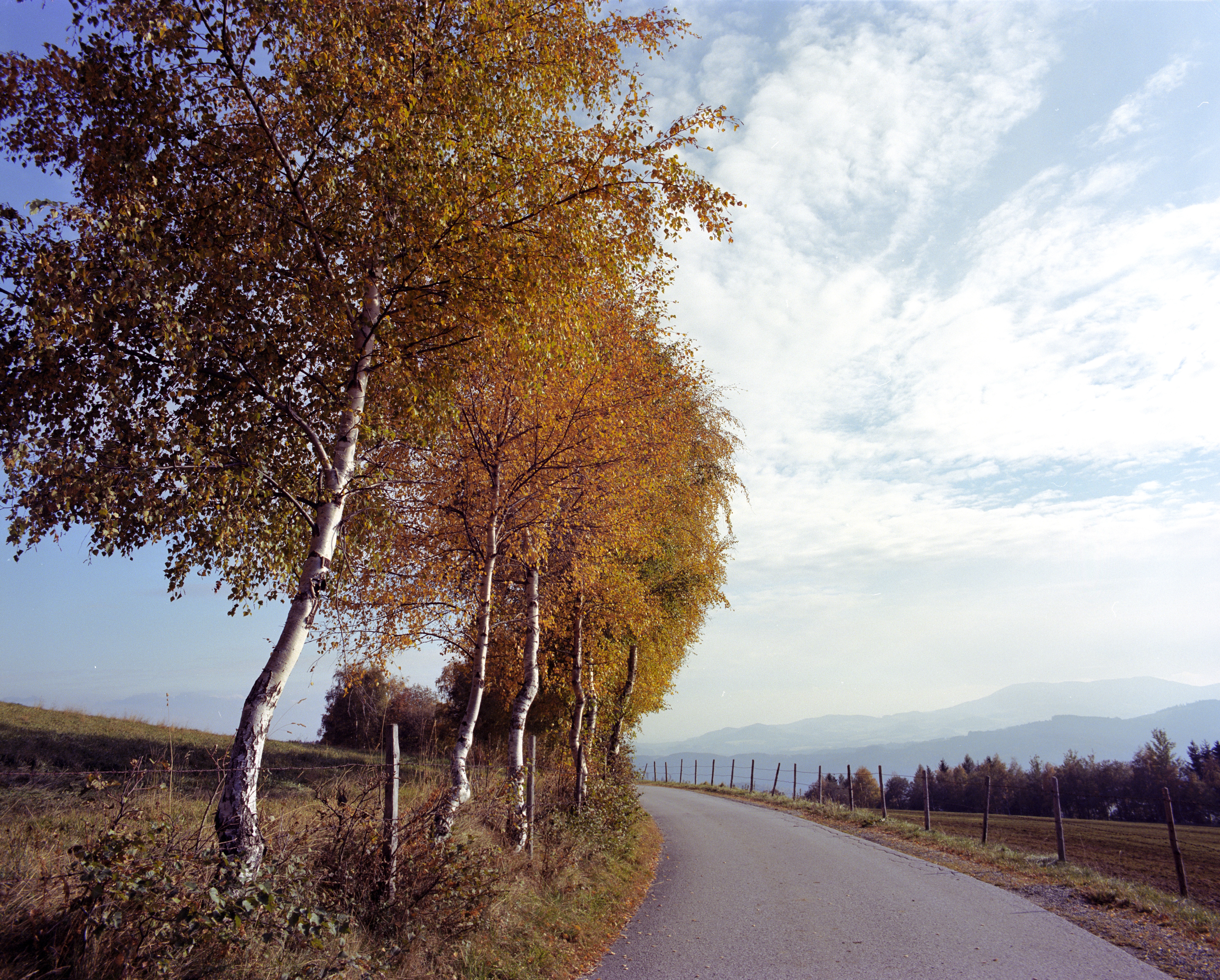 Fotokurs Einzelcoaching